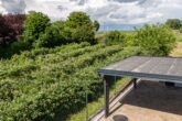 Haus in ruhigem Wohngebiet in Neusiedl am See - Bild